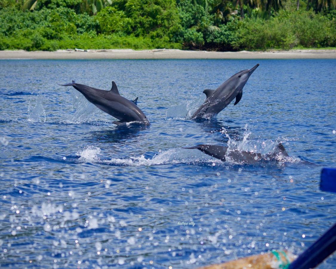 Araya Dive Resort Togean Bomba Exterior photo