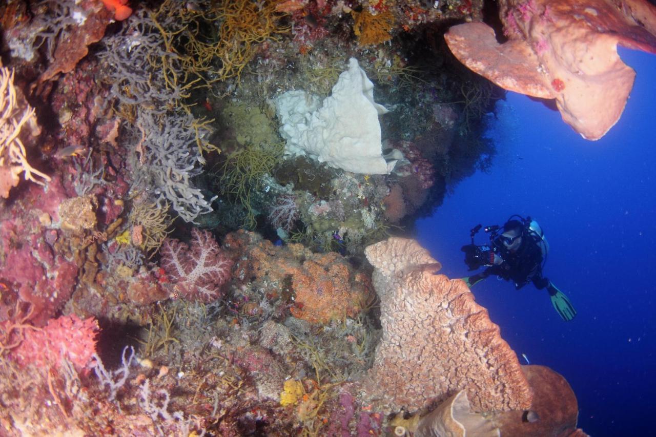 Araya Dive Resort Togean Bomba Exterior photo