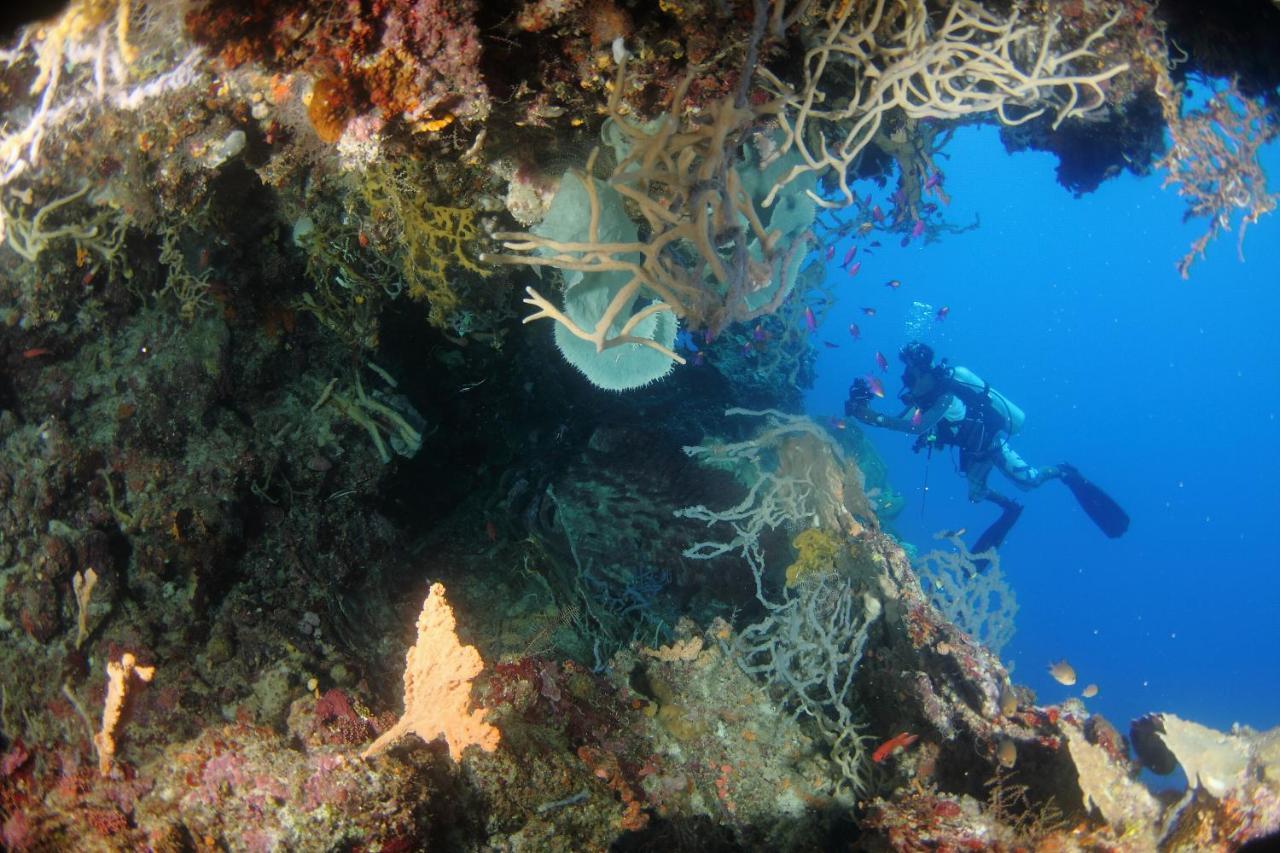 Araya Dive Resort Togean Bomba Exterior photo