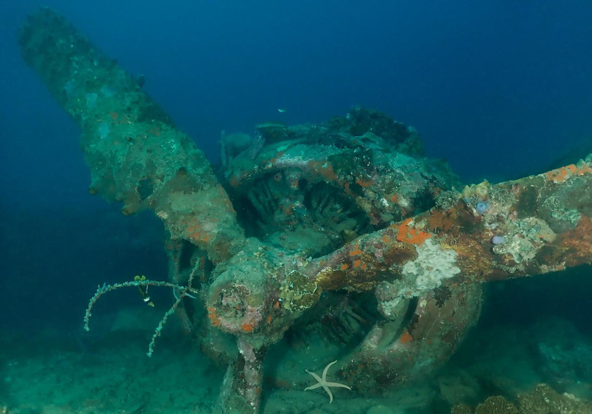 Araya Dive Resort Togean Bomba Exterior photo